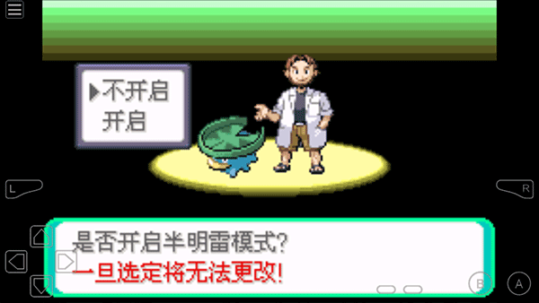 口袋妖怪传说绿宝石截图3