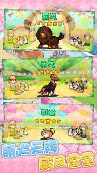 发现狗狗乐园截图2