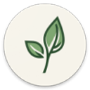 LeviLauncher启动器