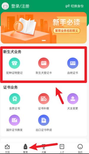 宠爱王国