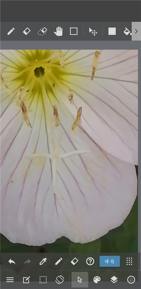 MediBang Paint app