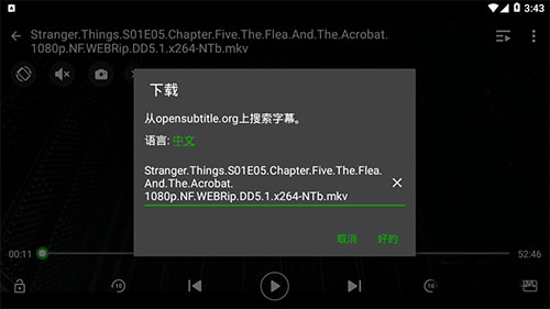 xplayer专业版