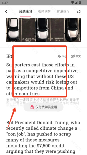 佩琪翻译