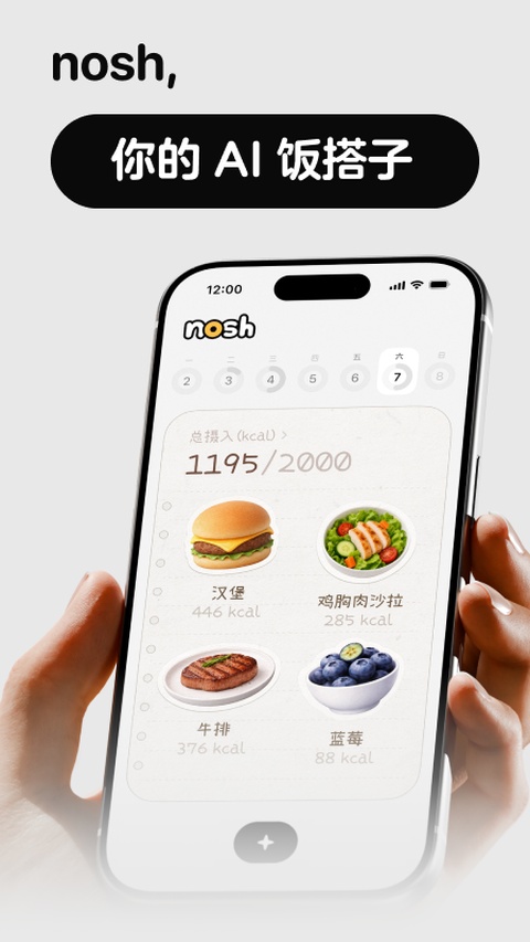 nosh饮食热量记录高清大图