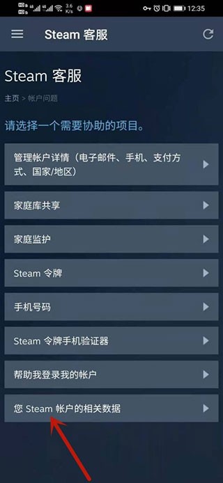 steam app