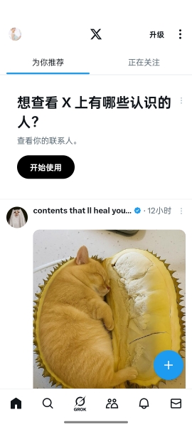 黑X