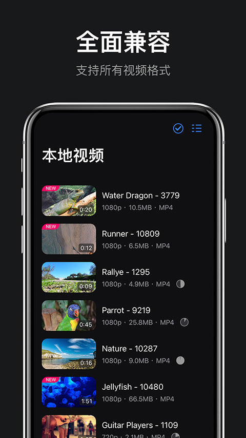 rPlayerVR播放器截图2