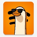 SpotiDuck