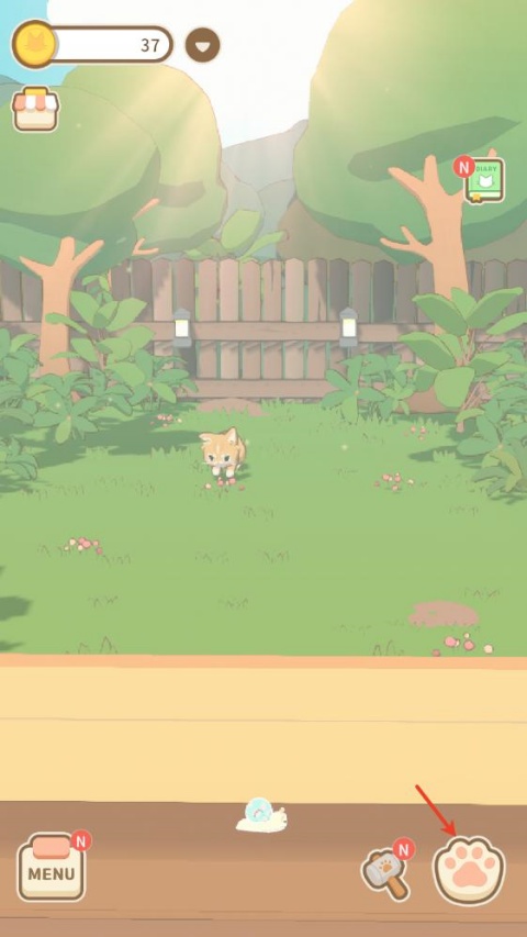 窗外的猫