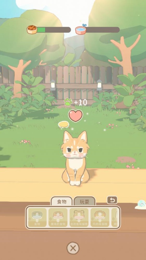 窗外的猫