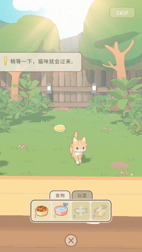 窗外的猫