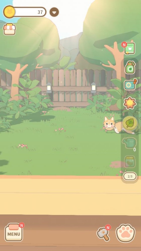 窗外的猫