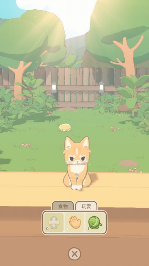 窗外的猫